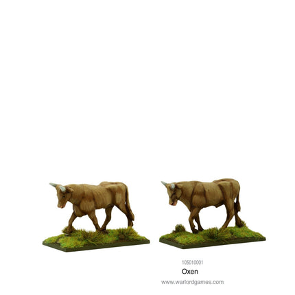 Oxen - Zubehör - Warlord Games - 105010001