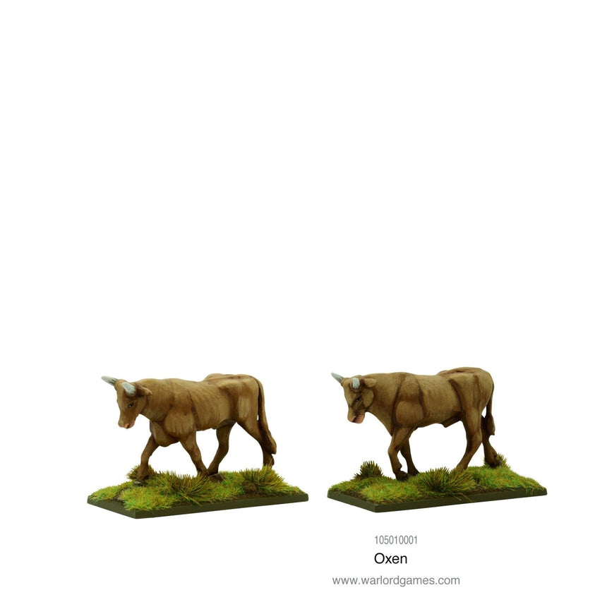 Oxen - Zubehör - Warlord Games - 105010001