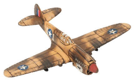 P-40 Warhawk Fighter Flight