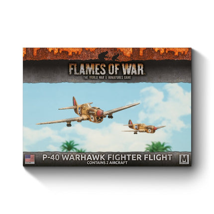 P-40 Warhawk Fighter Flight