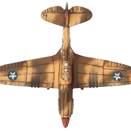 P-40 Warhawk Fighter Flight