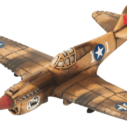P-40 Warhawk Fighter Flight