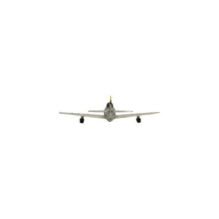 P-47 Thunderbolt Fighter Flight