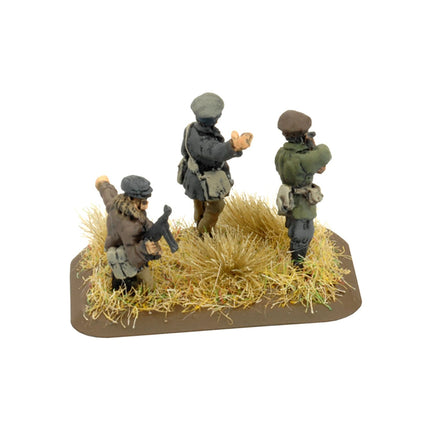 Partisan Company