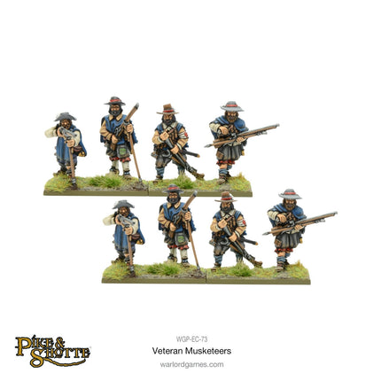 Pike & Shotte Veteran Musketeers