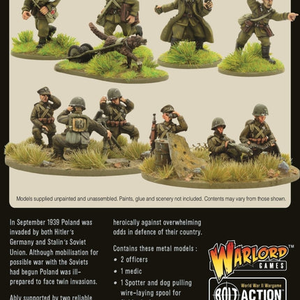 Polish Army Support Group - Infanterie - Warlord Games - 402217603