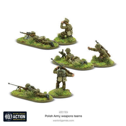 Polish Army Weapons Teams - Infanterie - Warlord Games - 402217604