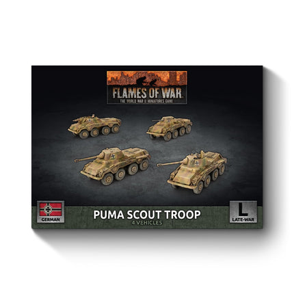 Puma Scout Troop