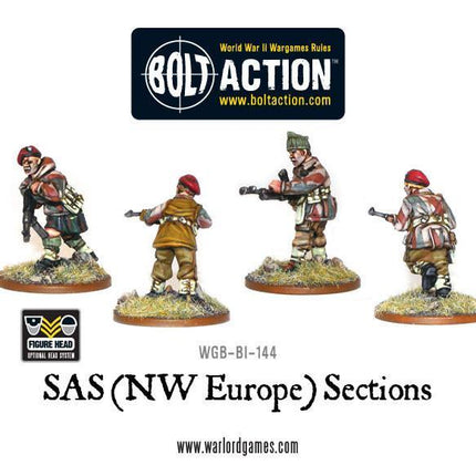 SAS (NWE) sections