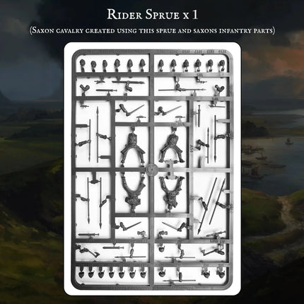Saxon Warband - Starterarmee - Victrix - 