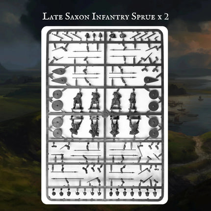 Saxon Warband - Starterarmee - Victrix - 
