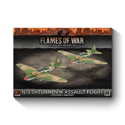 Il-2 Shturmovik Ground Attack Aircraft