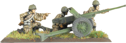 Light Tank Destroyer Company