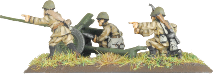 Light Tank Destroyer Company