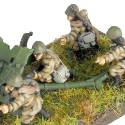 Light Tank Destroyer Company