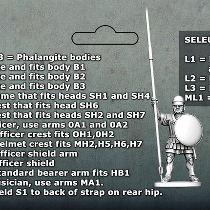 Successor Phalangites - Infanterie - Victrix - VXA020
