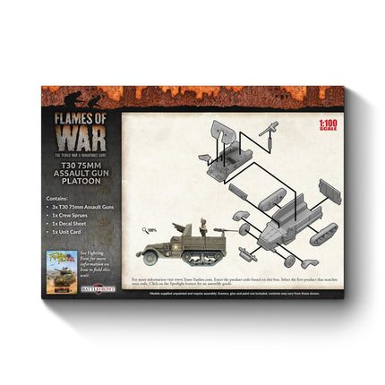 T30 75mm Assault Gun Platoon