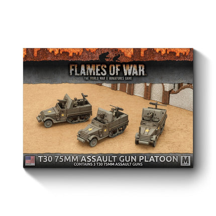 T30 75mm Assault Gun Platoon