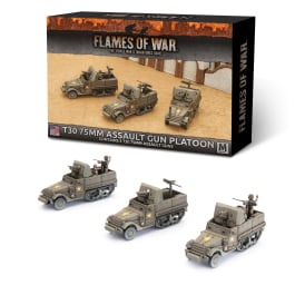 T30 75mm Assault Gun Platoon