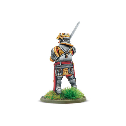 The Wars of the Roses - Hail Caesar Supplement mit Richard III. Sondermodell