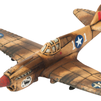 P-40 Warhawk Fighter Flight