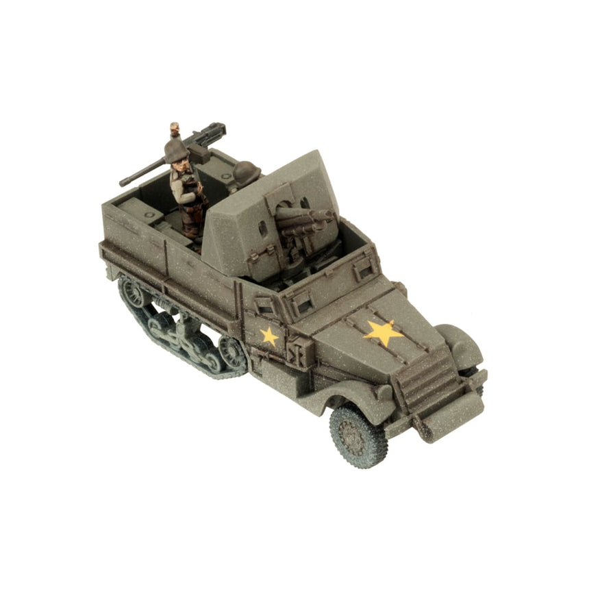 T30 75mm Assault Gun Platoon