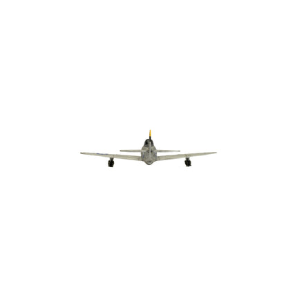 P-47 Thunderbolt Fighter Flight