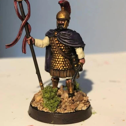 Warriors of Carthage - Infanterie - Victrix - VXA010