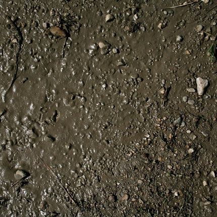 Wet Ground - Terrains (250 ml)